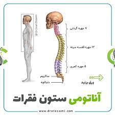 پاورپوینت اناتومی ستون فقرات