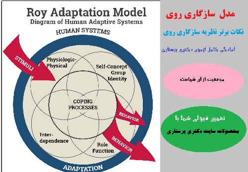 مقاله نظریه پرستاری روی