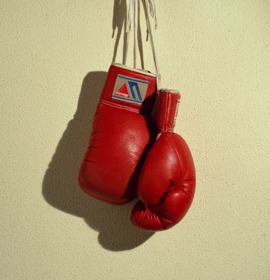 ورزش رزمی ووشو 23 اسلاید ppt